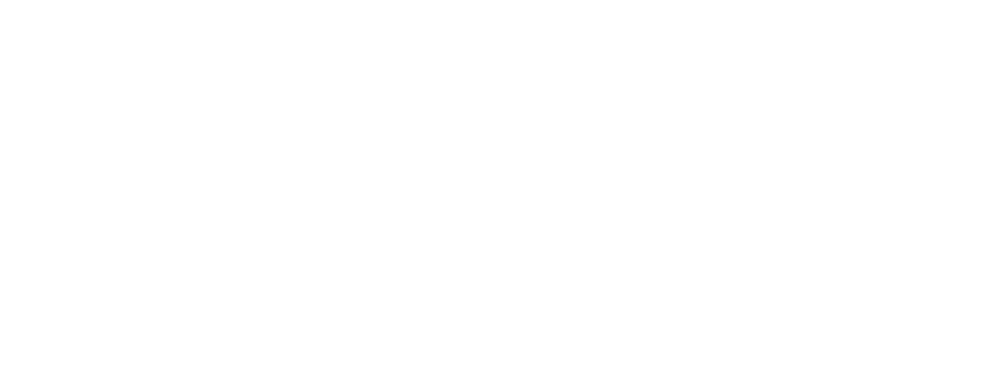 WDHN Logo - White